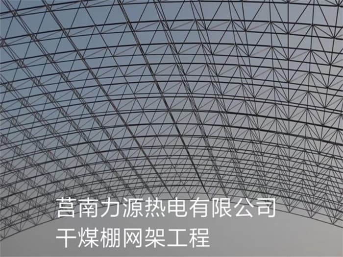 柳州力源热电有限公司干煤棚网架工程